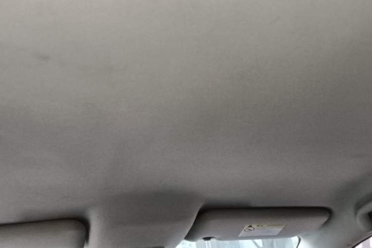 Used BYD e2 2021 Comfort Model Headliner