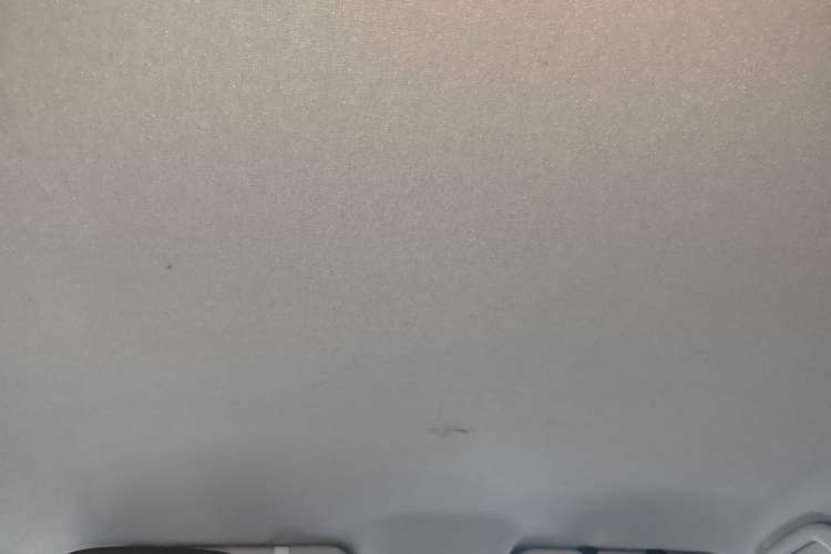 Used BYD e2 2021 Comfort Model Headliner