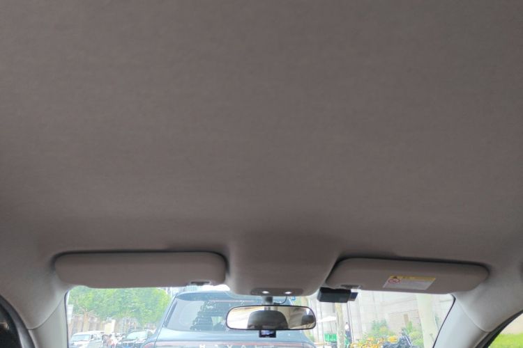 Used BYD e2 2021 Luxury Model Headliner