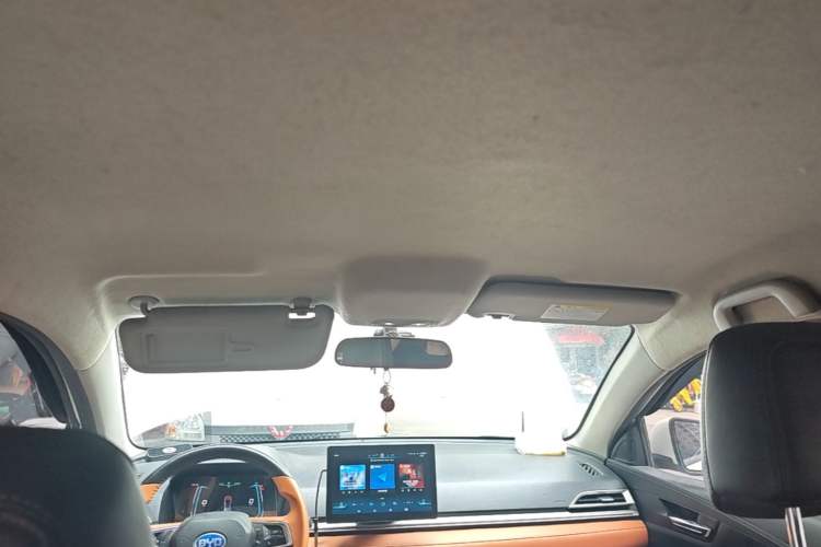 Used BYD e2 2021 Luxury Model Headliner