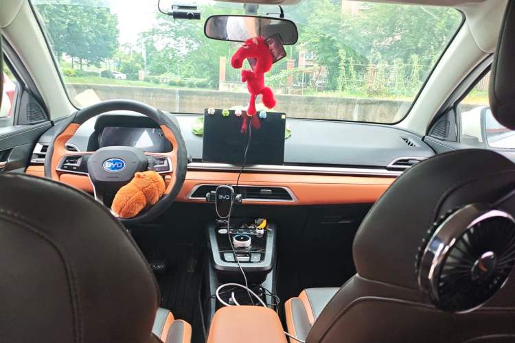 Used BYD e2 2021 Luxury Model Headliner