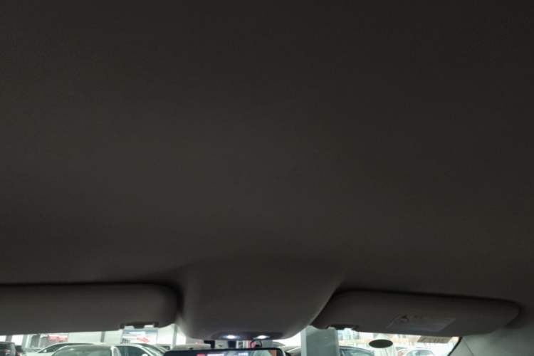 Used BYD e2 2021 Luxury Model Headliner