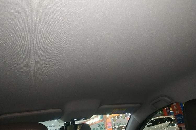Used BYD e2 2021 Luxury Model Headliner