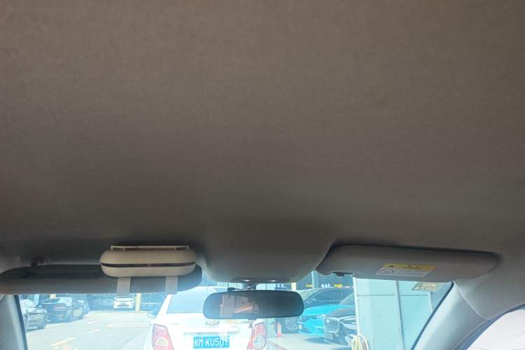 Used BYD e2 2021 Luxury Model Headliner