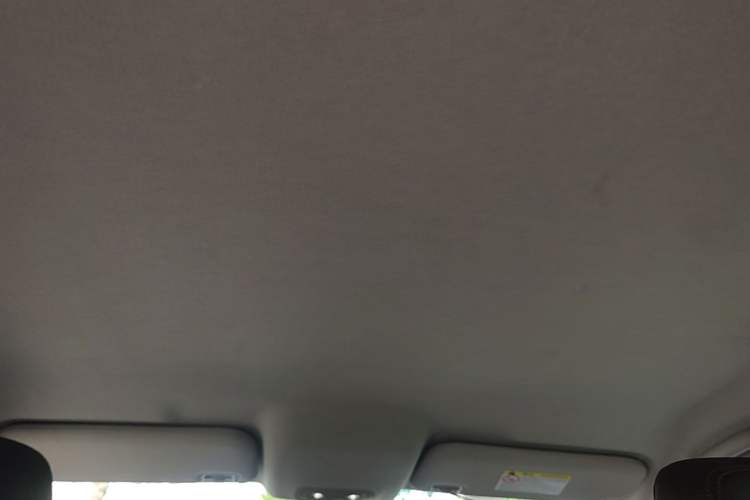 Used BYD e2 2021 Luxury Model Headliner