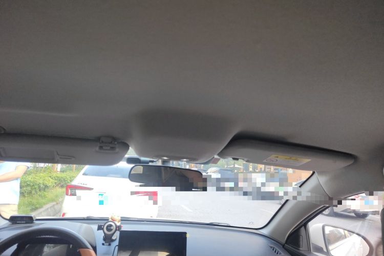Used BYD e2 2021 Luxury Model Headliner