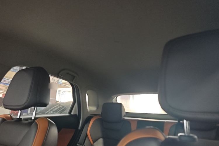Used BYD e2 2021 Luxury Model Headliner