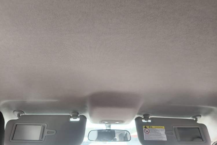 Used BYD e2 2021 Luxury Model Headliner