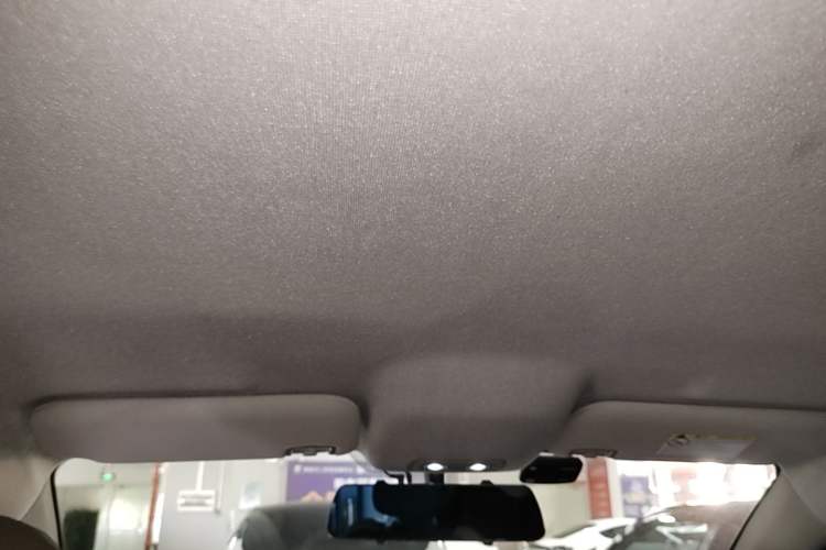 Used BYD e2 2021 Luxury Model Headliner