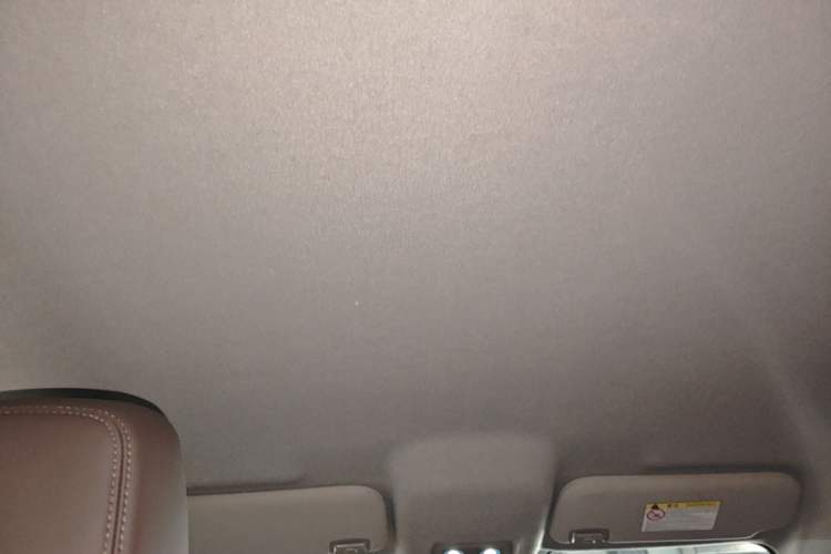 Used BYD e2 2021 Luxury Model Headliner