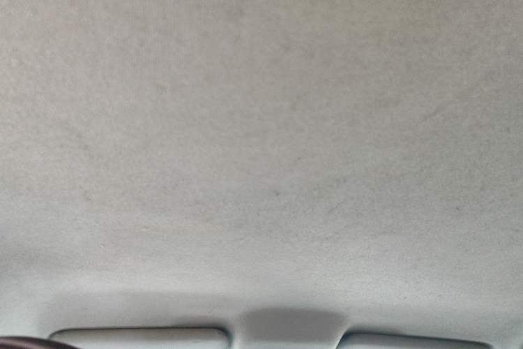Used BYD e2 2021 Comfort Model Headliner