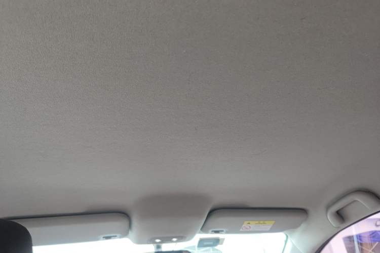 Used BYD e2 2021 Comfort Model Headliner