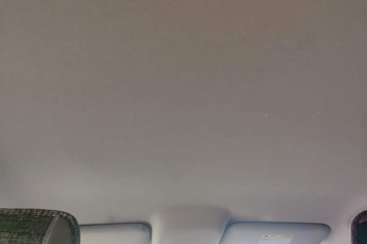Used BYD e2 2021 Comfort Model Headliner