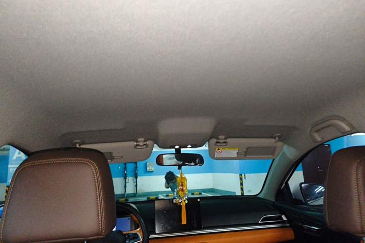 Used BYD e2 2021 Luxury Model Headliner