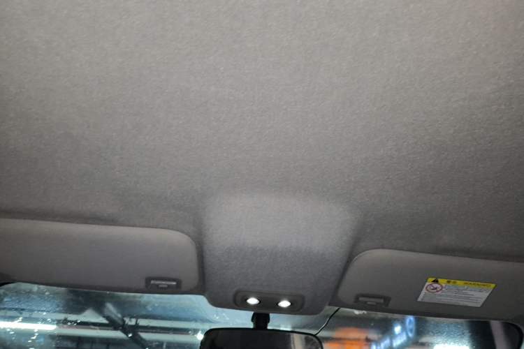 Used BYD e2 2021 Luxury Model Headliner