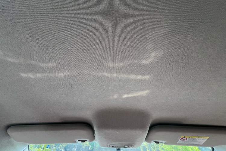 Used BYD e2 2021 Luxury Model Headliner