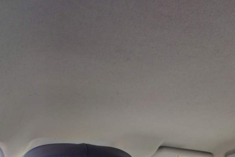 Used BYD e2 2021 Comfort Model Headliner