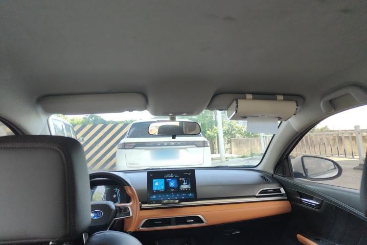 Used BYD e2 2021 Luxury Model Headliner
