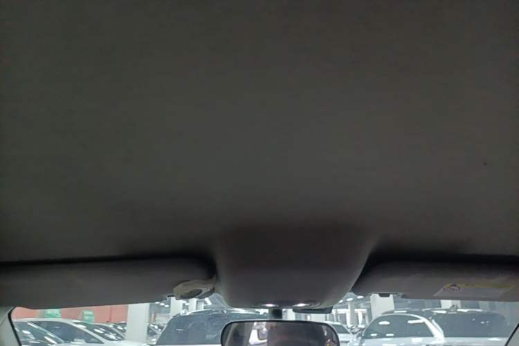 Used BYD e2 2021 Luxury Model Headliner