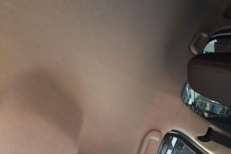 Used BYD e2 2021 Luxury Model Headliner