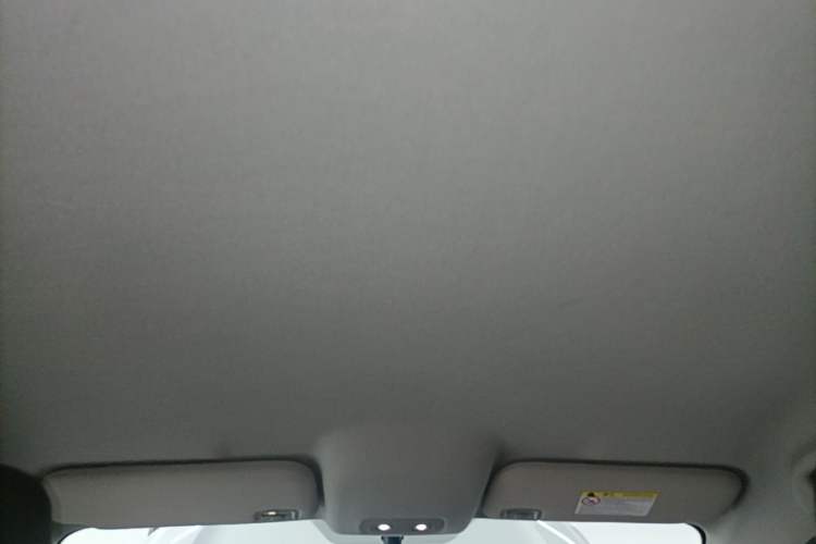 Used BYD e2 2021 Luxury Model Headliner