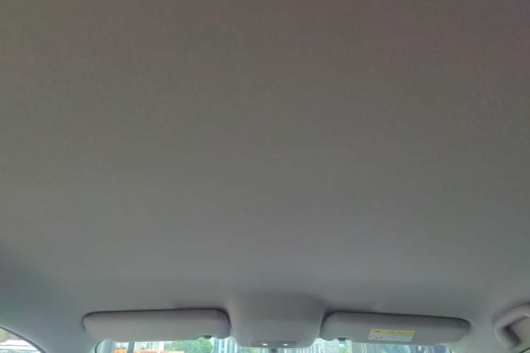 Used BYD e2 2021 Comfort Model Headliner