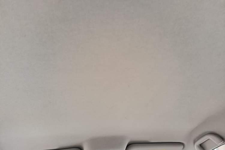 Used BYD e2 2021 Luxury Model Headliner