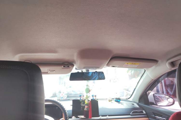Used BYD e2 2021 Luxury Model Headliner