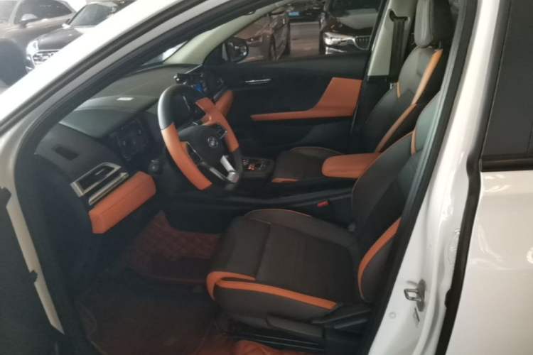Used BYD e2 2021 Luxury Model Left Front Seat