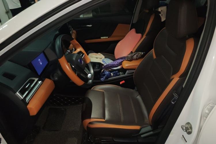 Used BYD e2 2021 Luxury Model Left Front Seat