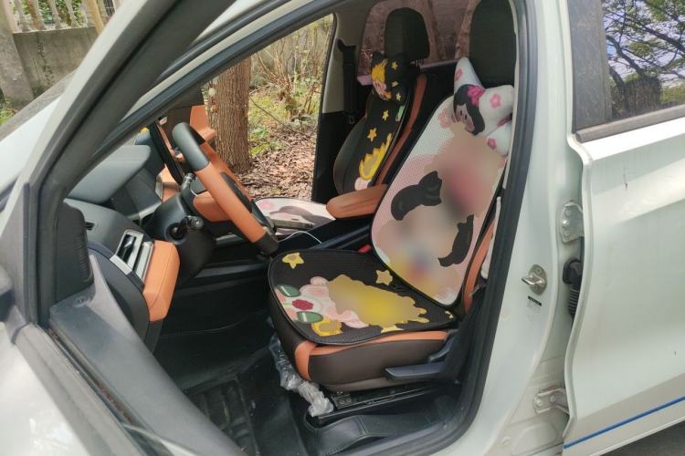 Used BYD e2 2021 Luxury Model Left Front Seat