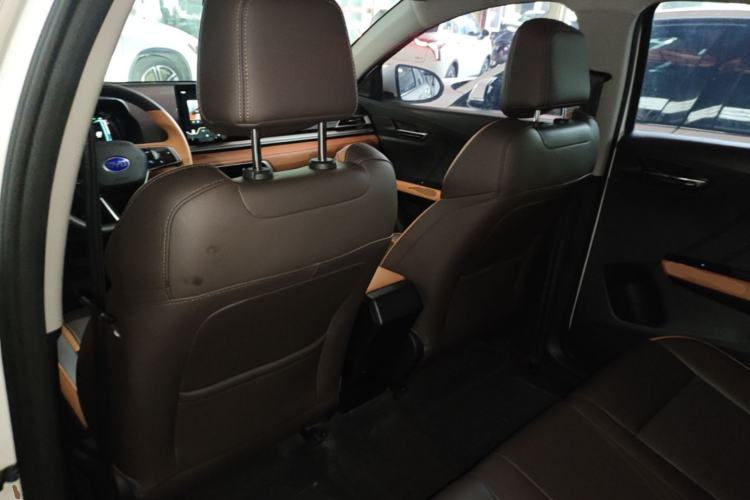 Used BYD e2 2021 Luxury Model Left Front Seat