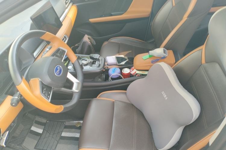 Used BYD e2 2021 Luxury Model Left Front Seat