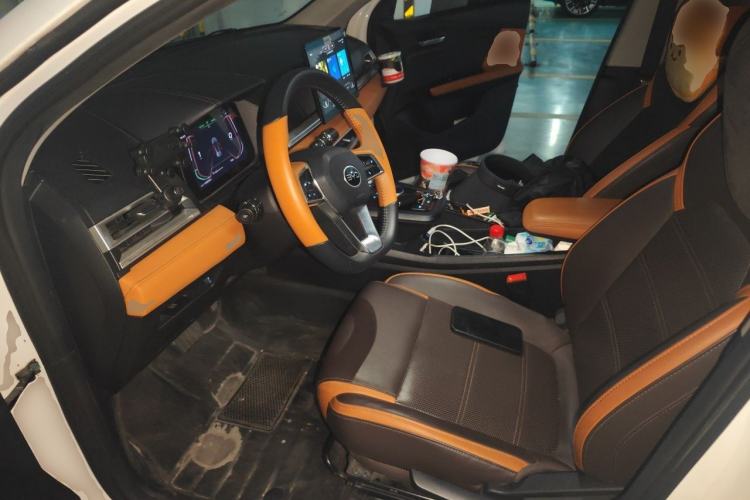 Used BYD e2 2021 Luxury Model Left Front Seat