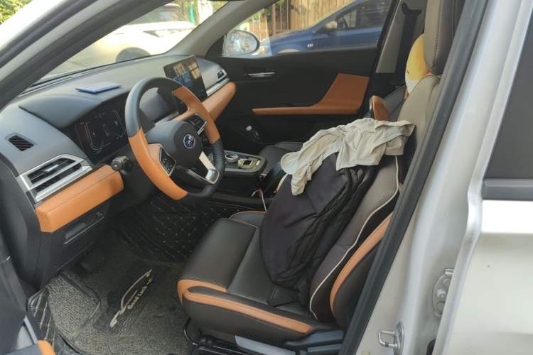Used BYD e2 2021 Luxury Model Left Front Seat