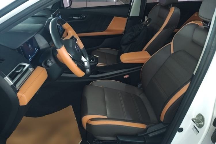 Used BYD e2 2021 Luxury Model Left Front Seat