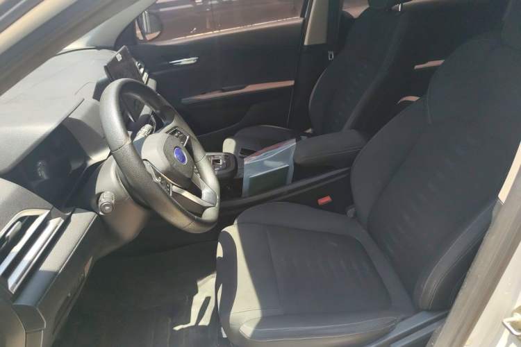 Used BYD e2 2021 Luxury Model Left Front Seat