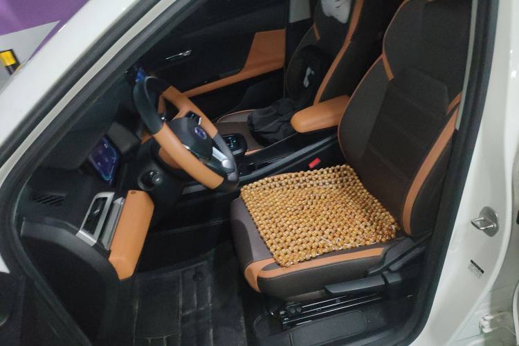 Used BYD e2 2021 Luxury Model Left Front Seat
