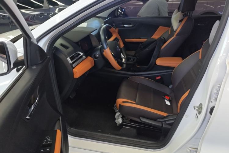Used BYD e2 2021 Comfort Model Left Front Seat