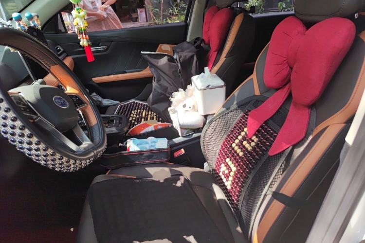 Used BYD e2 2021 Luxury Model Left Front Seat