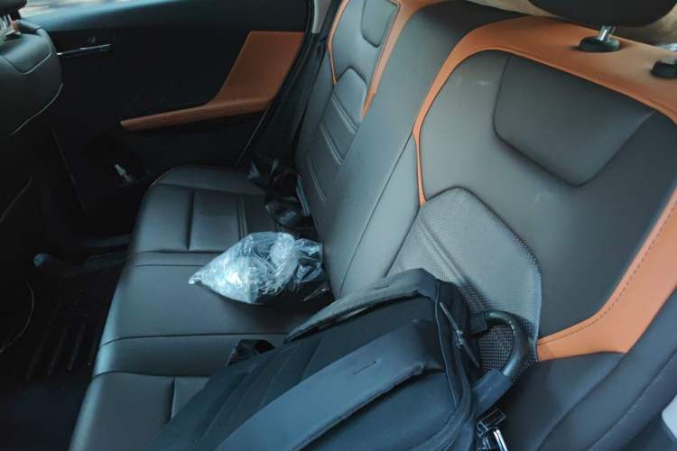 Used BYD e2 2021 Luxury Model Left Rear Seat