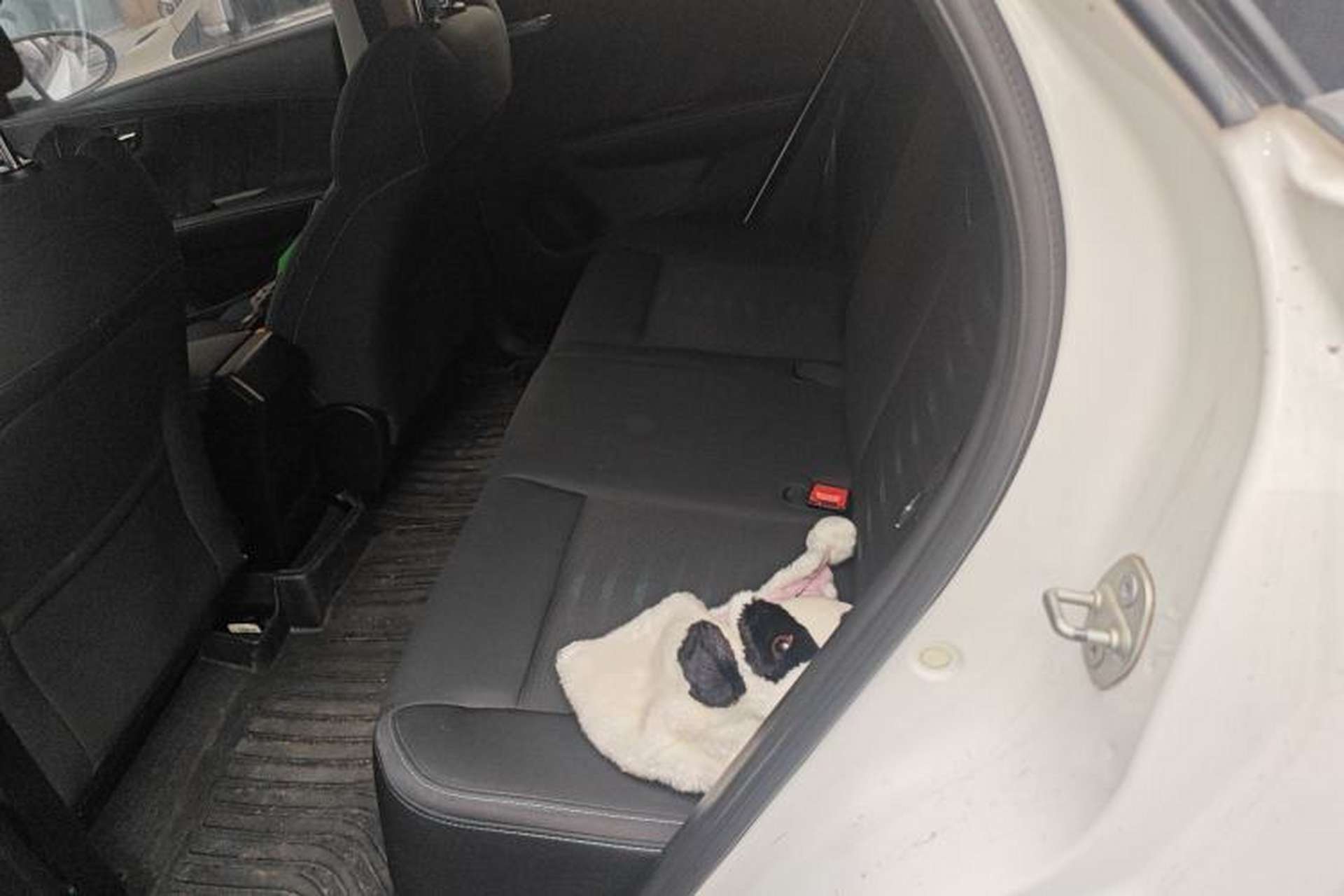Used BYD e2 2021 Comfort Model Left Rear Seat