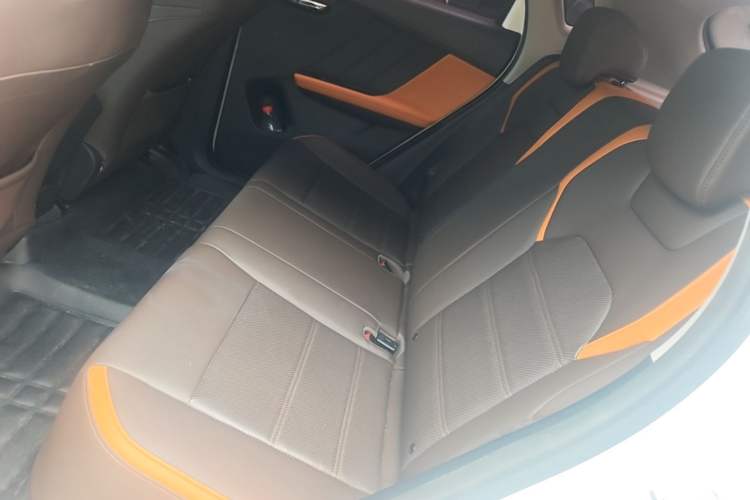 Used BYD e2 2021 Luxury Model Left Rear Seat