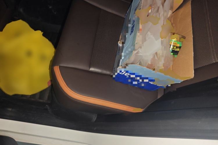 Used BYD e2 2021 Luxury Model Left Rear Seat
