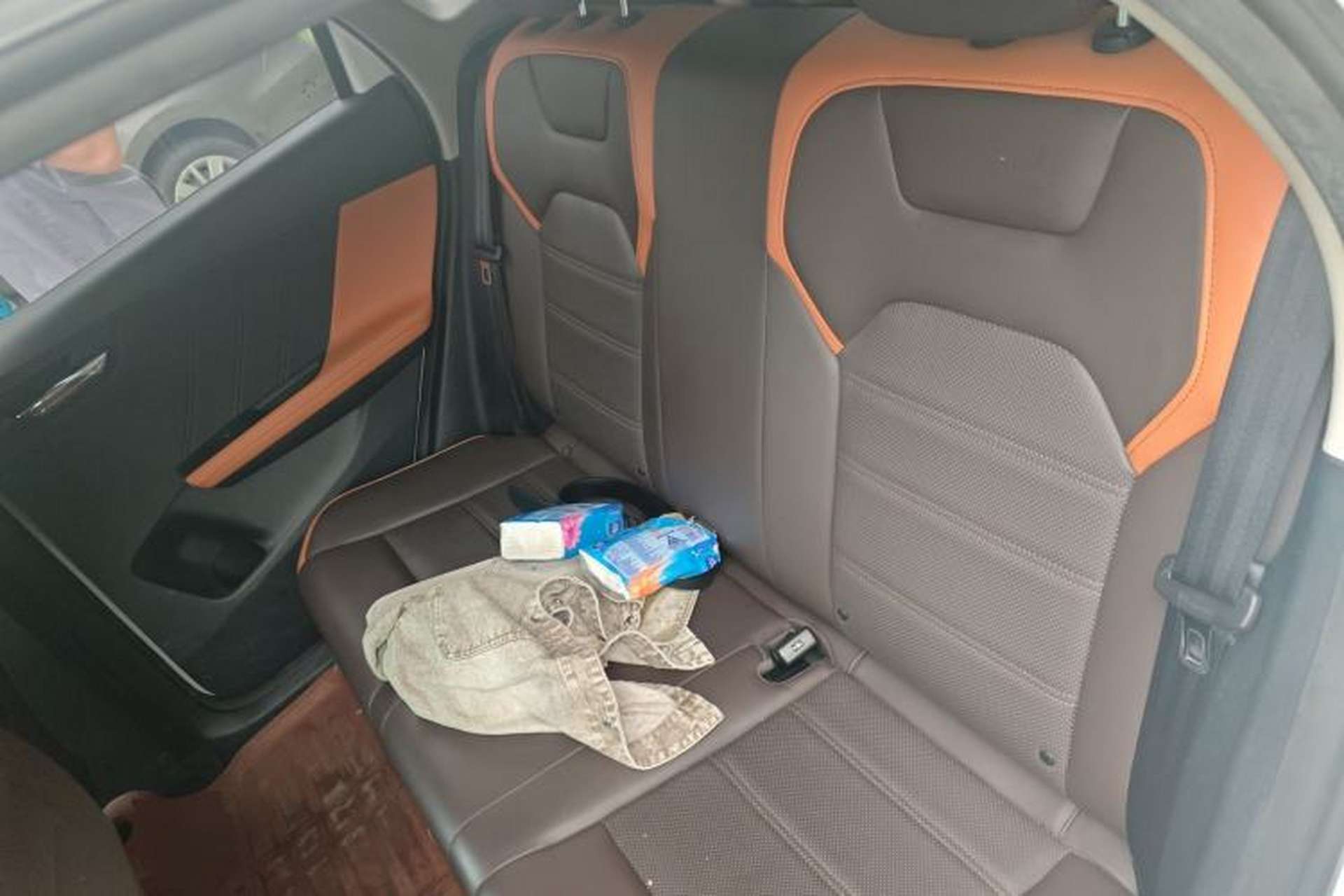 Used BYD e2 2021 Luxury Model Left Rear Seat