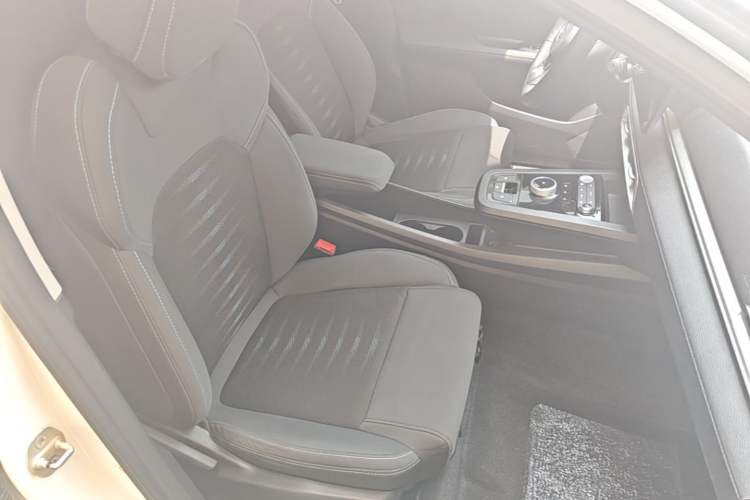 Used BYD e2 2021 Comfort Model Right Front Seat