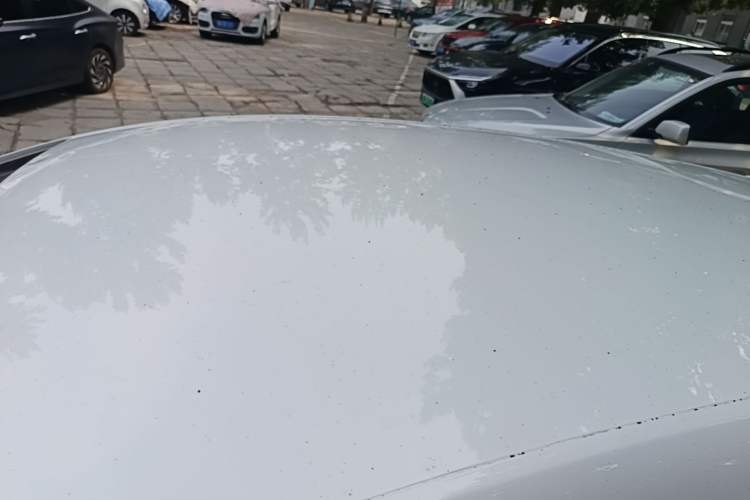 Used BYD e2 2021 Comfort Model Roof