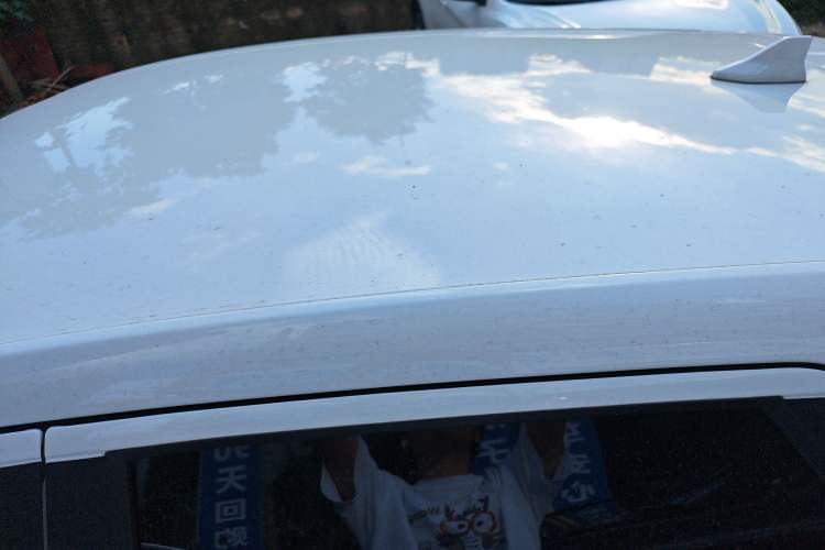 Used BYD e2 2021 Standard Model Roof