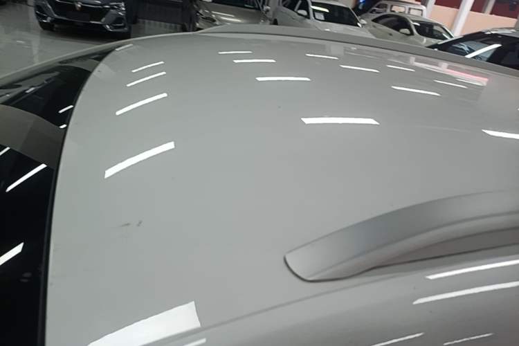 Used BYD e2 2021 Luxury Model Roof