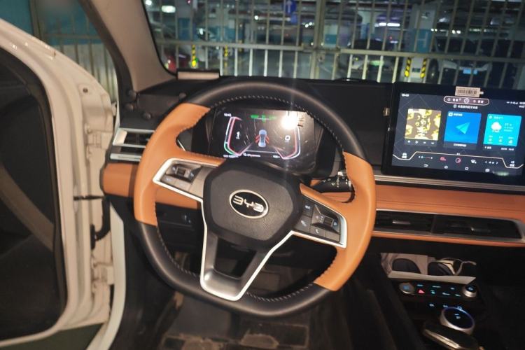 Used BYD e2 2021 Luxury Model Steering Wheel